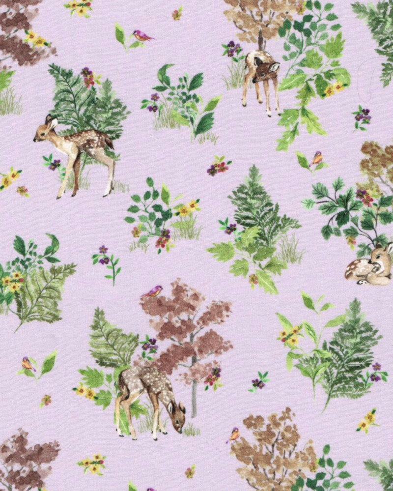 Forest Delights ORGANIC...