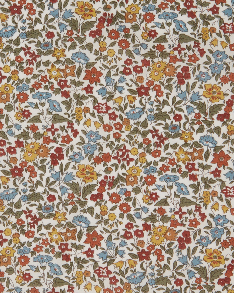 Ava Liberty Tana Lawn - fall