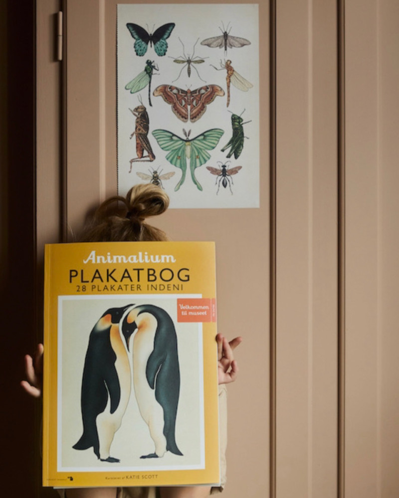 Plakatbog "Animalium"...