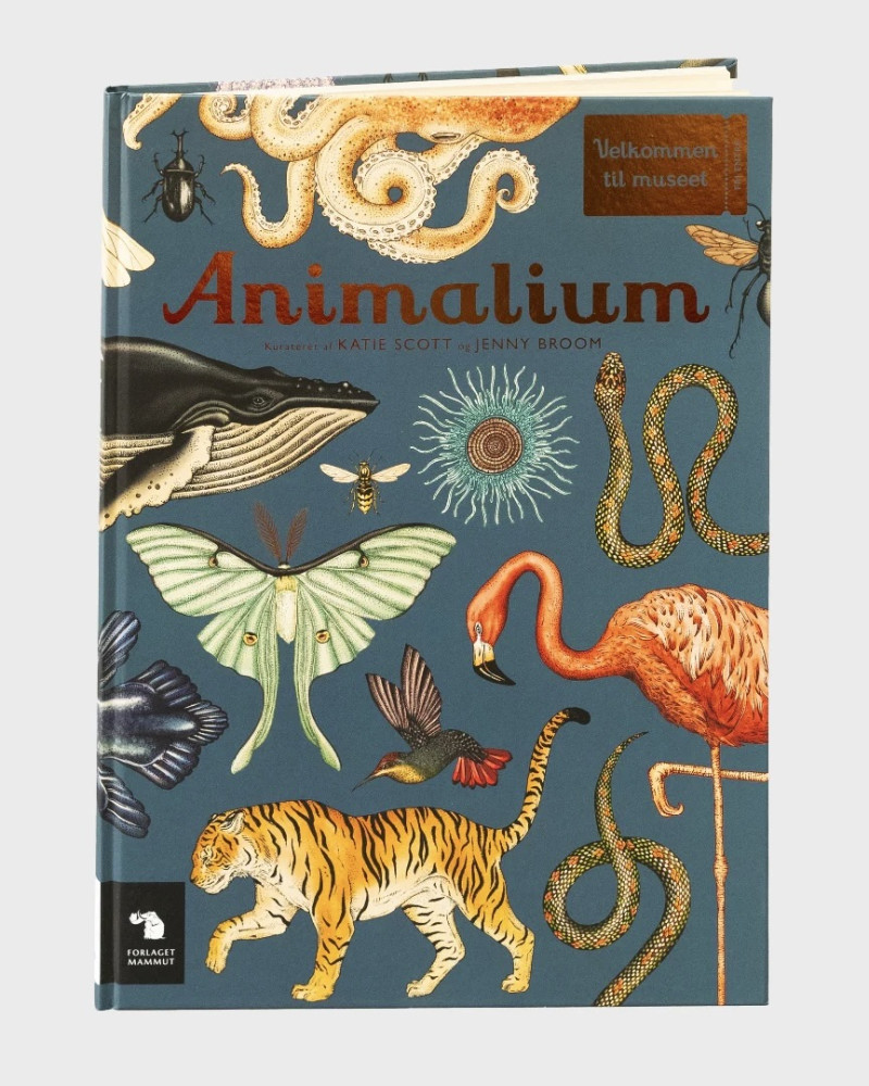 Animalium