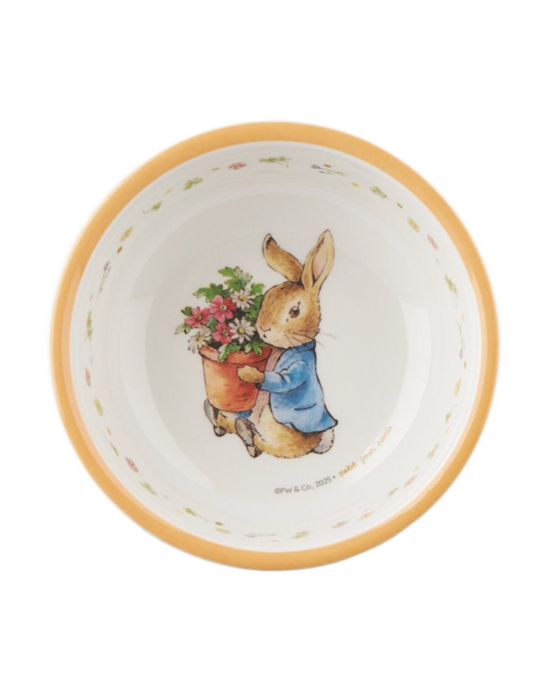 copy of Bowl for children...