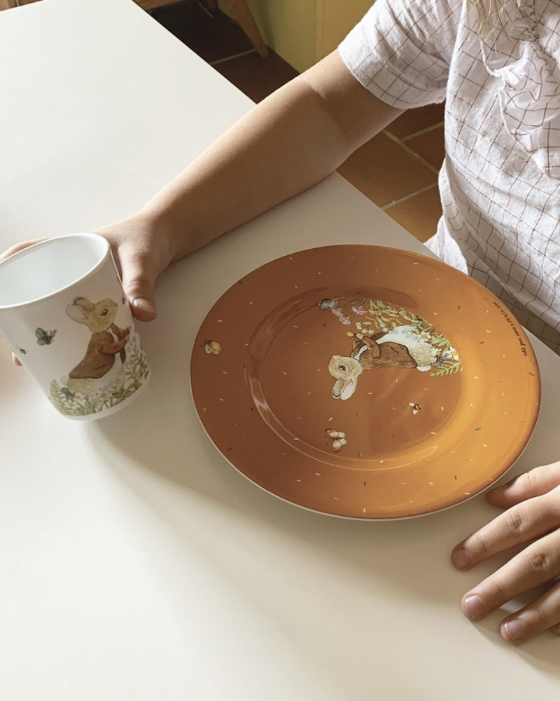 Children´s lunch plate...