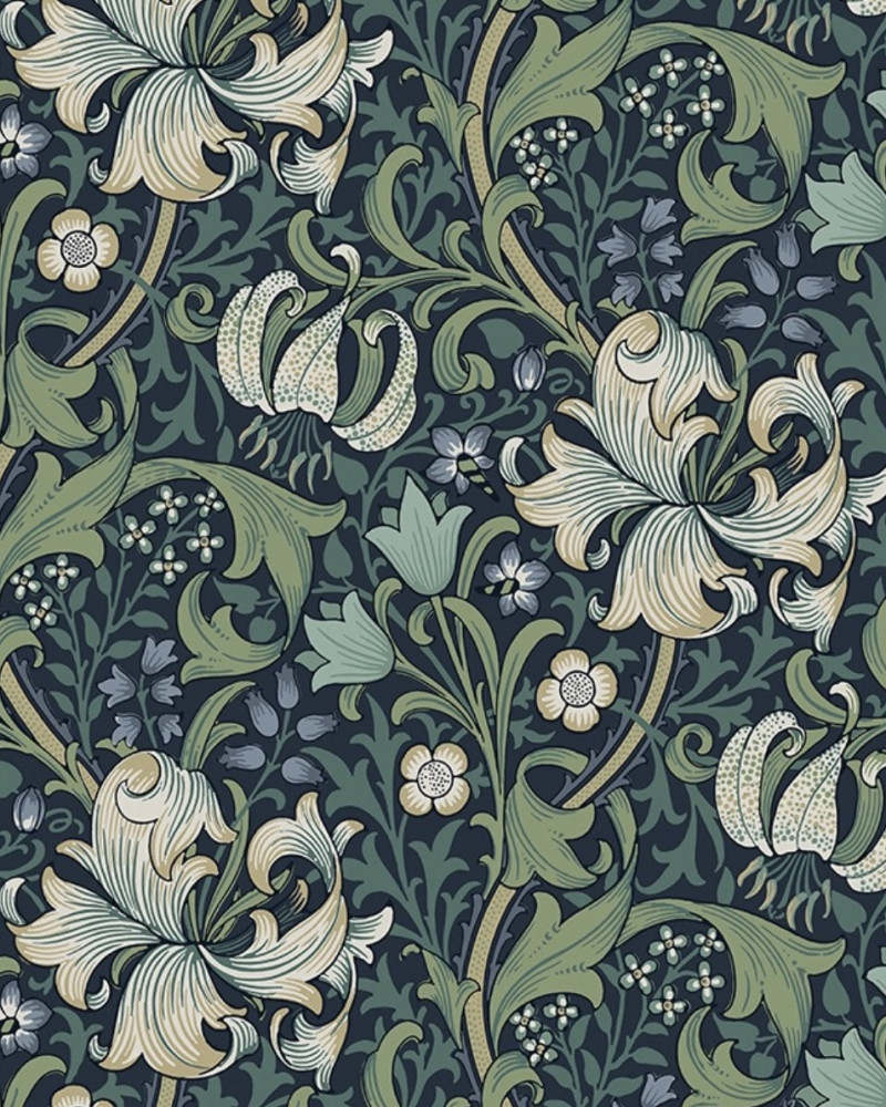 Golden Lily Morris & Co. -...